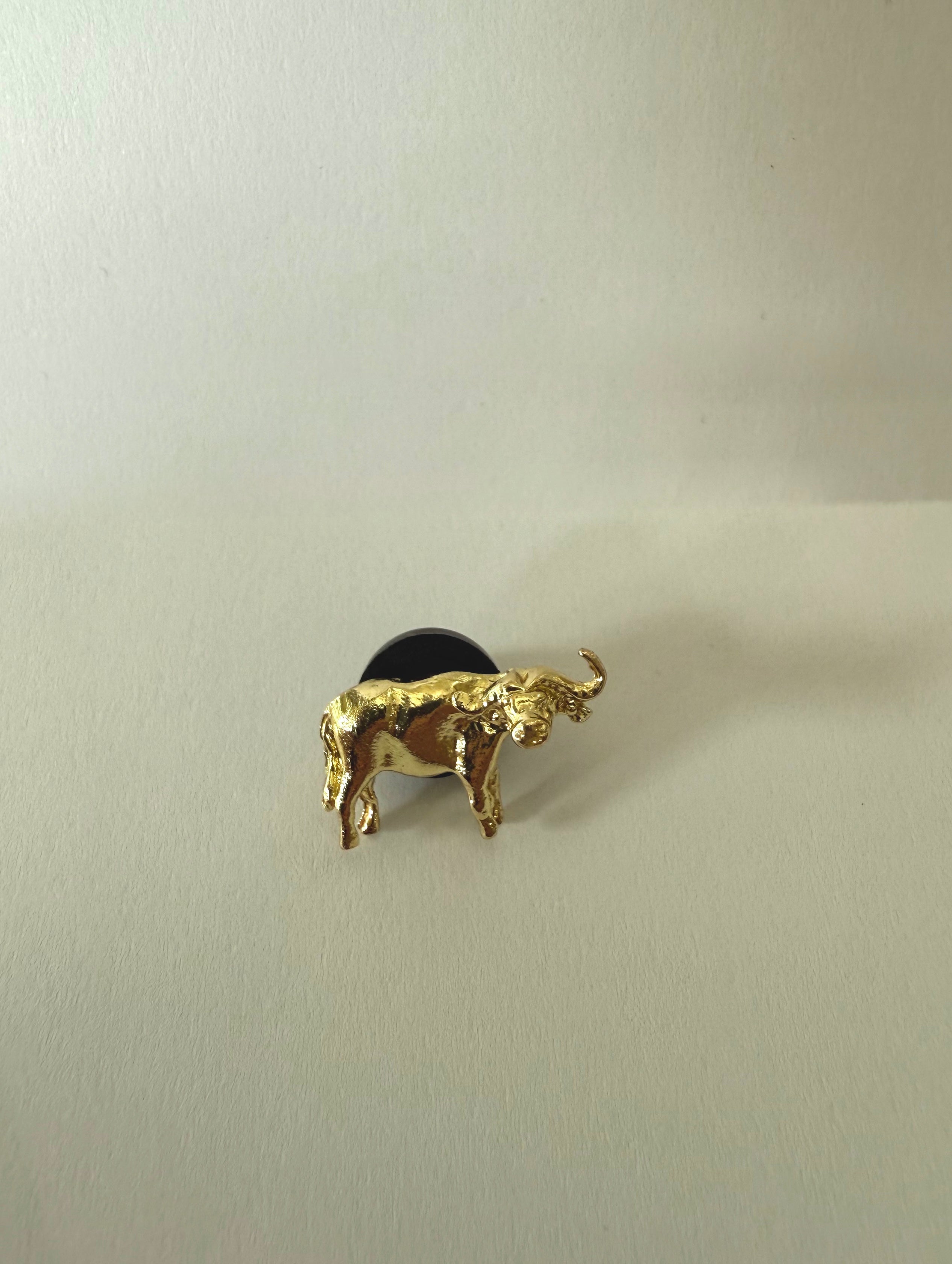 Väike Buffalo pin