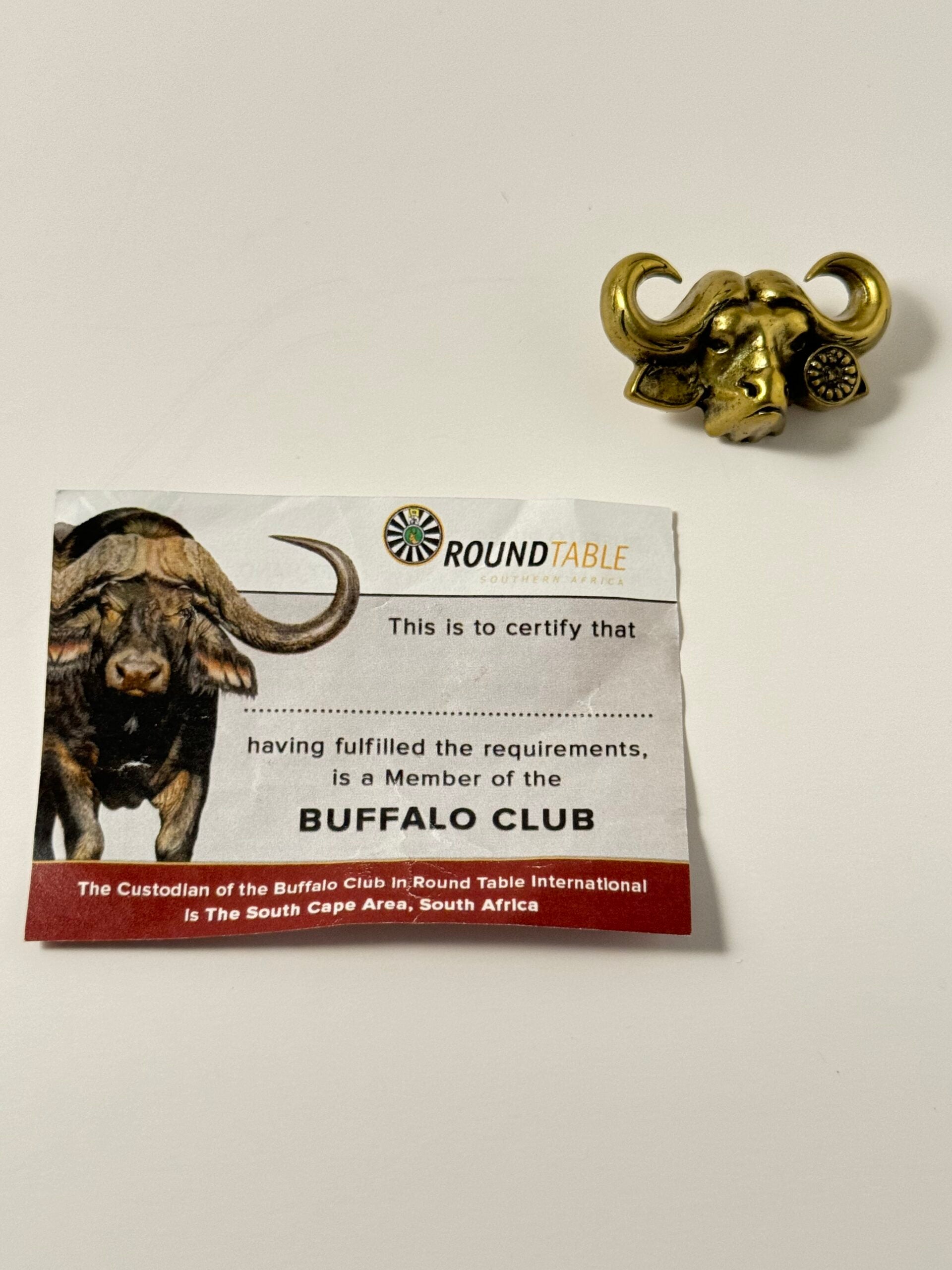 Suur Buffalo pin